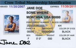 tribal ID card