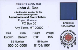 tribal ID card